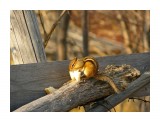 хб

Просмотров: 2244
Комментариев: 0