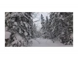Зима на перевале..
Фотограф: vikirin

Просмотров: 1346
Комментариев: 0
