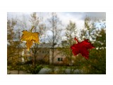 Листопад (1)
Южно-Сахалинск

Просмотров: 1612
Комментариев: 