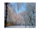 Первый снег 29 октября.. Пушистое утро
Фотограф: vikirin

Просмотров: 2902
Комментариев: 0