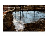 Из моего окна....
Фотограф: vikirin

Просмотров: 1820
Комментариев: 0
