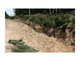 В эти рвы после дождей сползают почтовые машины...
Фотограф: vikirin

Просмотров: 3245
Комментариев: 0