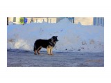 DSC08345

Просмотров: 257
Комментариев: 0