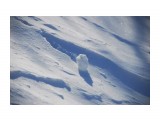Фото 23
Фотограф: marka

Просмотров: 540
Комментариев: 0