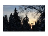 Закат в морозном лесу..
Фотограф: vikirin

Просмотров: 2334
Комментариев: 0