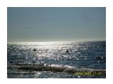 Макарьевка.В то воскресенье море было очень теплое
Фотограф: vikirin

Просмотров: 2133
Комментариев: 1
