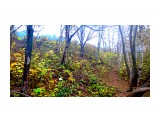 DSC04874

Просмотров: 138
Комментариев: 0