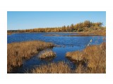 Оха (3)

Просмотров: 604
Комментариев: 