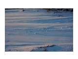 28
Фотограф: vikirin

Просмотров: 1003
Комментариев: 0