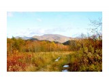 766

Просмотров: 1421
Комментариев: 