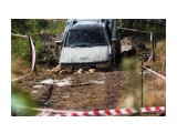 Веселые покатушки...
Фотограф: vikirin

Просмотров: 2886
Комментариев: 0