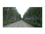 20120909_008

Просмотров: 552
Комментариев: 1