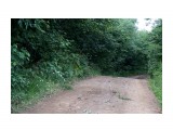 Лесные дорожки
Фотограф: vikirin

Просмотров: 1253
Комментариев: 0