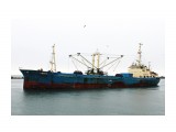 СИВУЧ.
Фотограф: 7388PetVladVik

Просмотров: 4011
Комментариев: 0