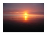 Охотское море  
Фотограф: 7388PetVladVik

Просмотров: 5385
Комментариев: 0