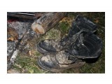 мои ботинки
Фотограф: фотохроник

Просмотров: 291
Комментариев: 0