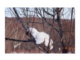Затаился...

Просмотров: 1134
Комментариев: 0
