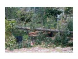 Название: A55Aе2й
Фотоальбом: Трагедия в Долинском парке 2.10.2015г.
Категория: Природа

Время съемки/редактирования: 2015:10:04 23:48:56
Фотокамера: Canon - Canon EOS 5D Mark III
Диафрагма: f/7.1
Выдержка: 1/100
Фокусное расстояние: 40/1



Просмотров: 1746
Комментариев: 0