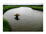Речка не широка , но глубока,течет торфяная  тихо-тихо...
Фотограф: vikirin

Просмотров: 5304
Комментариев: 0