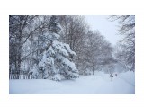 Название: DSC04161
Фотоальбом: Зима...
Категория: Природа
Фотограф: VictorV

Просмотров: 579
Комментариев: 0