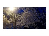 Однажды весной в 6 утра.. пошел снег..
Фотограф: vikirin

Просмотров: 2080
Комментариев: 0