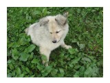 IMG_1236

Просмотров: 698
Комментариев: 