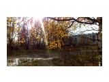 Осень.. начало октября
Фотограф: vikirin

Просмотров: 1761
Комментариев: 0