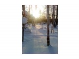 Закат.. Морозец.. березовый лесок..дышится легко..
Фотограф: vikirin

Просмотров: 4197
Комментариев: 0