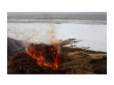 Полынь горит хорошо
Фотограф: vikirin

Просмотров: 1839
Комментариев: 0