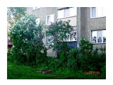 А у нас во дворе...

Просмотров: 728
Комментариев: 0