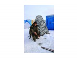 762

Просмотров: 671
Комментариев: 