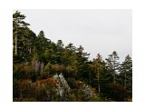 IMG_5457
