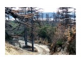 По дороге на Мясинскую
Фотограф: vikirin

Просмотров: 1107
Комментариев: 0