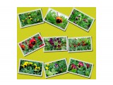 bloggif_616410ccacf38

Просмотров: 259
Комментариев: 0