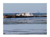 Лето...
Фотограф: 7388PetVladVik

Просмотров: 3628
Комментариев: 0