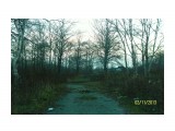 SAM_6478

Просмотров: 3399
Комментариев: 0