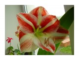 1

Просмотров: 2306
Комментариев: 1