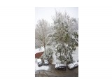 Первый снег 2011 года.