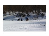 Рыбаки..
Фотограф: vikirin

Просмотров: 1120
Комментариев: 0