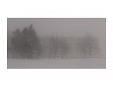 26 декабря 17г.буран.Это лицей
Фотограф: vikirin

Просмотров: 1029
Комментариев: 0