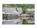 СЕЛИХИНО.  (IMO  8228725,  MMSI  273864100,  CS  UEVH).   Порт Невельск.
Фотограф: 7388PetVladVik

Просмотров: 911
Комментариев: 0