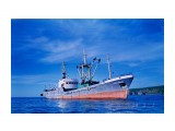 ГЕРОИ СИВАША.  
Фотограф: 7388PetVladVik

Просмотров: 6249
Комментариев: 0
