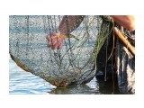 За усы ее... 

Просмотров: 2857
Комментариев: 0