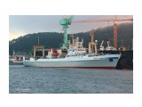 ГЕНЕРАЛ  ТРОШЕВ.  ( IMO  9121144,  MMSI  273350810,  CS  UAJO).   Порт Пусан.
Фотограф: 7388PetVladVik

Просмотров: 3407
Комментариев: 0