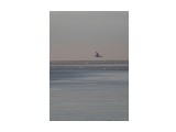 утро,море, чайки.
Фотограф: Фотохроник

Просмотров: 527
Комментариев: 0