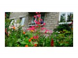 DSC03726

Просмотров: 520
Комментариев: 0