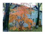 Последний бал..
Фотограф: vikirin

Просмотров: 2777
Комментариев: 0