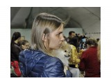 Выставка собак

Просмотров: 710
Комментариев: 