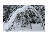 Зима на перевале..
Фотограф: vikirin

Просмотров: 1583
Комментариев: 0