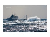 ЛИРА.  (ИМО 7826154, рефрижераторное транспортное судно).
Фотограф: 7388PetVladVik

Просмотров: 5783
Комментариев: 1